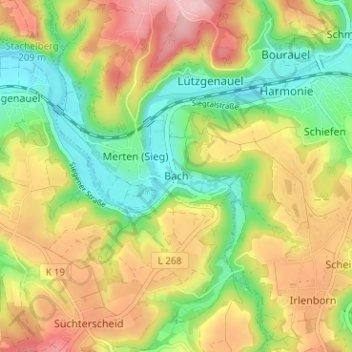 Topografische Karte Bach, Höhe, Relief