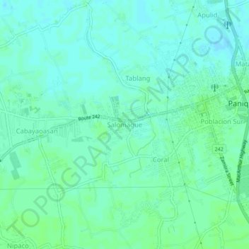 Topografische Karte Salomague, Höhe, Relief