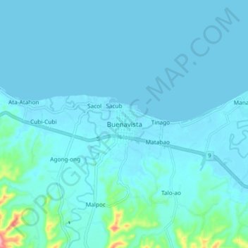 Topografische Karte Buenavista, Höhe, Relief