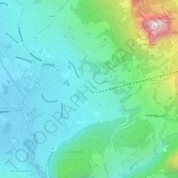 Topografische Karte Rickenbach, Höhe, Relief