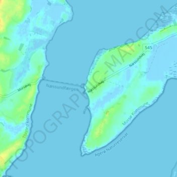 Topografische Karte Nees, Höhe, Relief