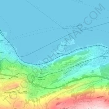 Topografische Karte Bäch, Höhe, Relief