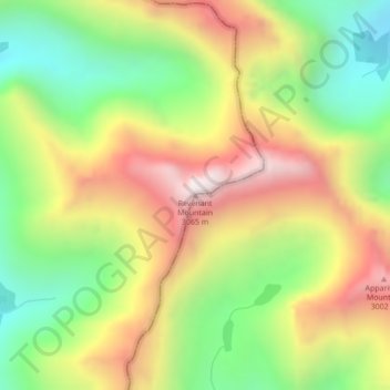 Topografische Karte Revenant Mountain, Höhe, Relief