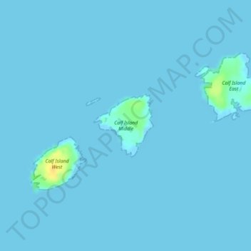 Topografische Karte Calf Island Middle, Höhe, Relief